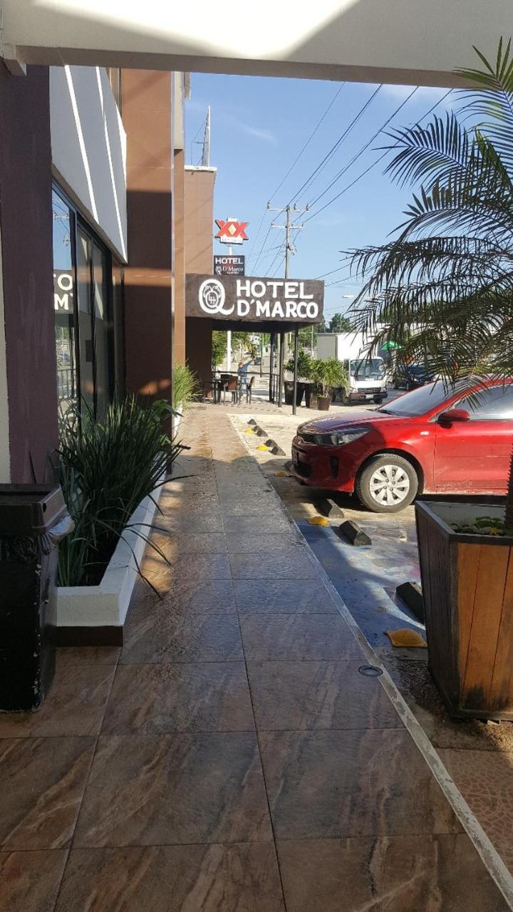 Hotel D Marco Exxpres 팔렝케 외부 사진